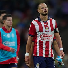 El Balance de Chicharito en el Apertura 2024