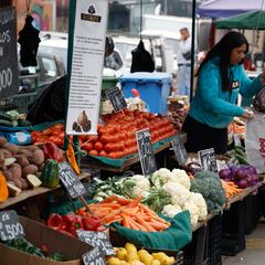 Bono Canasta Básica: cómo consultar con tu RUT si lo cobras