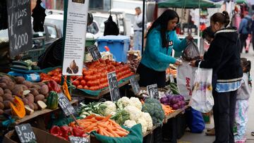 Bono Canasta Básica: cómo consultar con tu RUT si lo cobras