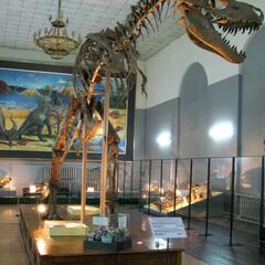 Los científicos descubren un nuevo dinosaurio y cambia la forma de entender el T-Rex