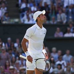 Djokovic, a un triunfo de su 21º título de Grand Slam