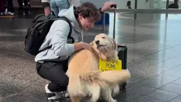 El Golden Retriever que ha emocionado a las redes al reencontrarse con su dueño en un aeropuerto tras cinco meses: “Llantos de felicidad”