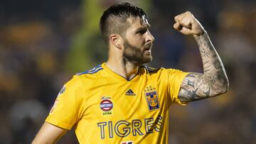 Tigres sólo ha perdido 1 de 4 finales de Liga MX con Gignac