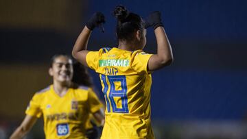 Tigres goleó a León y es líder general de la competencia, Chivas perdió el 'Clásico Tapatío' pero sigue dentro de zona de clasificación; Cruz Azul suma otra fecha sin perder.