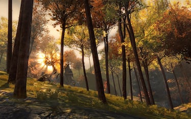 Guild Wars 2, Impresiones