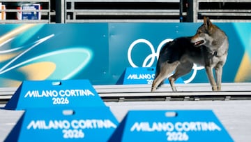Nazgul apareció en el cross-country femenino por equipos en los Juegos Olímpicos de Invierno 2026.