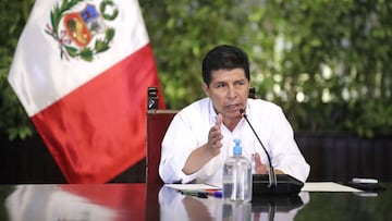 Encuesta IPSOS Pedro Castillo: resultados y conclusiones de la gestión del presidente