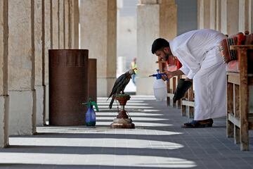 Un hombre refresca a un halcón en la puerta de una de las tiendas de venta de halcones situada en la exclusiva zona conocida como el Zoco de los Halcones, el animal más representativo de Catar que forma parte de la cultura del país no solo para cetrería, que se remonta a la época de las tribus beduinas, sino como emblema y orgullo familiar.  