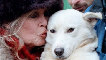 Bardot, whose death at 91 was announced today, was notoriously outspoken about her resentment of her pregnancy.