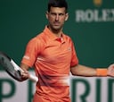 Djokovic regresa a casa para remontar un tormentoso año