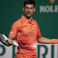 Djokovic regresa a casa para remontar un tormentoso año