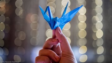 Is Donald Trump leading the United States of America to new levels of peace?