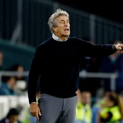 Pellegrini, sobre la DANA: “Ha sido una desgracia importante”