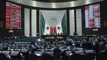 Diputados plurinominales: Qu&eacute; son y por qu&eacute; se quieren eliminar