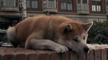 Hachiko espera cada día en la estación a su dueño, sin saber que ha muerto. Durante años, su lealtad inquebrantable conmueve a todos, pero su propia muerte en la nieve, aún aguardando, es un símbolo universal de amor y fidelidad. Un perro que nunca dejó de esperar, recordándonos lo puro que puede ser un corazón.