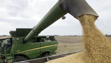 Ala dura del PRO y Milei quieren bajar el IVA: así es la sorpresiva propuesta