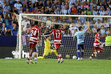 Málaga CF: las razones de una caída inesperada