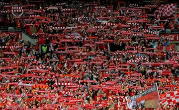 Soccer Football - Liverpool Tour - Sydney FC vs Liverpool - Sydney, Australia - 24/5/17 - Liverpool fans show their support. REUTERS/Jason Reed