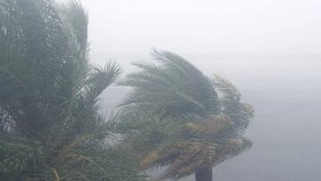 Frente Frío 6, resumen 31 de octubre: última hora de las lluvias en México y estados afectados