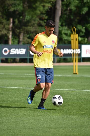 La Selección Colombia jugará este viernes, a partir de las 2:15 p.m., hora colombiana, el amistoso contra Egipto en Bérgamo, Italia.