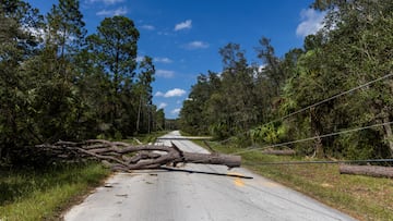 El huracán Helene dejó a millones de estadounidenses sin energía eléctrica en su hogar. Conoce cómo puedes reportar un corte del servicio, según tu área.