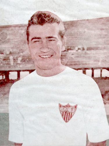 Jugó tres temporadas en el Sevilla entre 1958 y 1961, y dos con el Barcelona entre 1961 y 1963. 