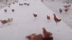 Sin piedad: las burlas del hermano de Carlos Tevez después de la derrota de River ante Flamengo en la final de la Copa Libertadores