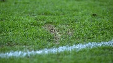 Una Eurocopa sobre un patatal pintado de verde