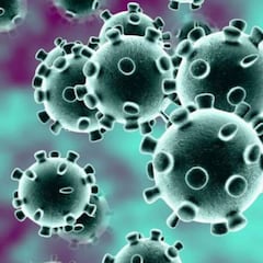 Qué es la recombinación viral, el posible efecto de la mutación entre variantes del coronavirus