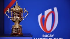 The Rugby Union World Cup trophy, the Webb Ellis Cup