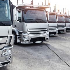 Además de los chips, la falta de madrinas está retrasando la entrega de autos