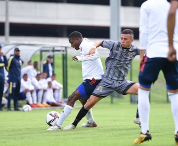 La Selección Colombia venció a Tigres en dos partidos amistosos disputados El Campinsito de Bogotá.