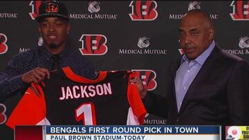 Desmontando los mitos de los Drafts de la AFC Norte