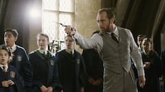 Jude Law gives a slightly disheartening update regarding the Fantastic Animals movie franchise