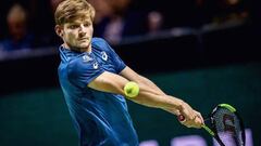 Primera semifinal de Rotterdam: Dimitrov vs Goffin