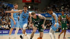 Resumen del Breogán vs Unicaja, jornada 14 de la Liga Endesa