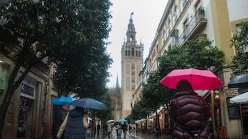 Varias personas se protegen de la lluvia bajo sus paraguas. A 9 de febrero de 2024, en Sevilla (Andalucía, España). La borrasca 'Karlotta' activa avisos por lluvia, viento y oleaje en todas las provincias andaluzas.
09 FEBRERO 2024
María José López / Europa Press
09/02/2024