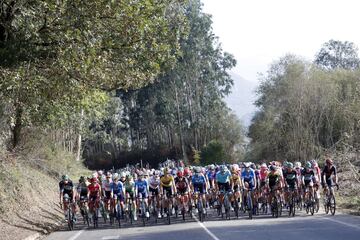 Roglic logra su tercera victoria de etapa