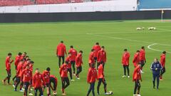 La gran apuesta de dos ex seleccionados en la Roja: “Tiene todo... No hay que quemarlo”