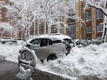 Coches repletos de nieve estacionados en la calle.