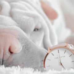 Expertos señalan cómo podría afectar el cambio de hora a nuestras mascotas