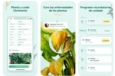 Blossom, una app para identificar plantas y cuidarlas