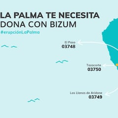 ¿En qué tiendas puedes pagar con Bizum? El listado de comercios que aceptan el pago