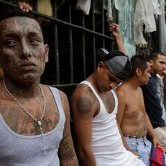 ¿Los maras están en Chile? Así son las peligrosas pandillas, los riesgos de su arribo y qué se sabe hasta ahora