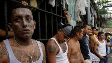 ¿Los maras están en Chile? Así son las peligrosas pandillas, los riesgos de su arribo y qué se sabe hasta ahora