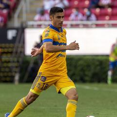 Aldo Cruz: “Tigres va a dar mucho de qué hablar”