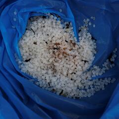 ¿Dé que están compuestos los pellets de plástico de Galicia, cuánto miden y por qué son un peligro?