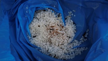 Plastic pellets picked up from Vilar beach are stored in a bag after millions of them washed up on the Spanish northwestern Galicia region, triggering environmental concerns and a political blame game in Ribeira, Spain, January 8, 2024. REUTERS/Miguel Vidal