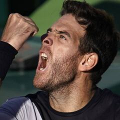 Un bravo Del Potro sufre pero se mete en las semifinales