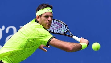 Del Potro amazed to be thrust back into the limelight